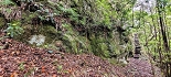 Plants: image 79 Of 208 Thumb